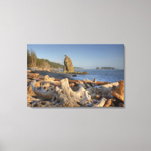 USA, Washington, Olympic National Park, Rialto Canvas Print