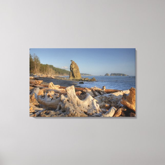 USA, Washington, Olympic National Park, Rialto Canvas Print (Front)