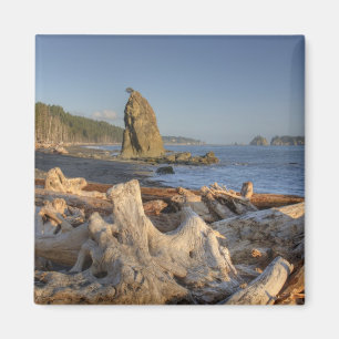 USA, Washington, Olympic National Park, Rialto Magnet