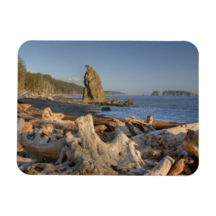 USA, Washington, Olympic National Park, Rialto Magnet