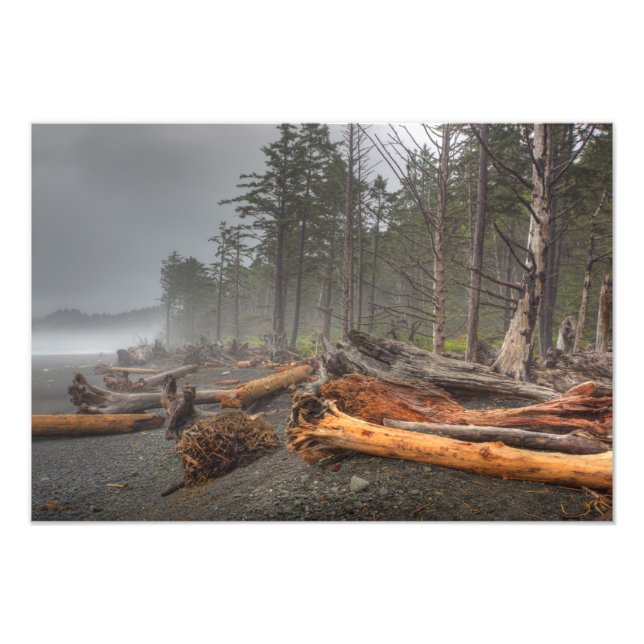 USA, Washington, Olympic National Park, Rialto Photo Print (Front)