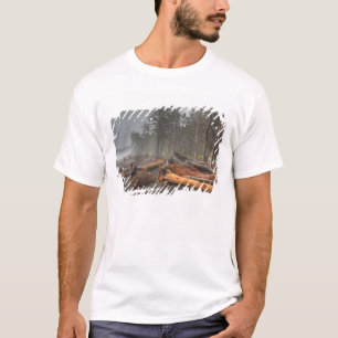 USA, Washington, Olympic National Park, Rialto T-Shirt
