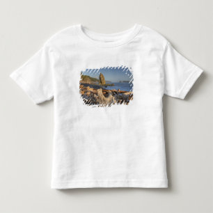 USA, Washington, Olympic National Park, Rialto Toddler T-Shirt