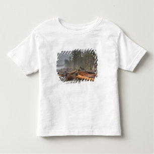 USA, Washington, Olympic National Park, Rialto Toddler T-Shirt