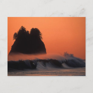 USA, Washington, Olympic National Park, Sea Postcard
