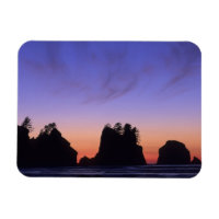 USA, Washington, Olympic National Park, Shi-shi