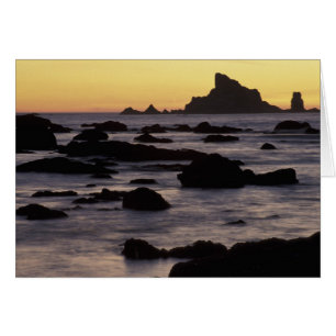 USA, Washington, Olympic Nat'l Park, Seastacks