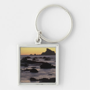 USA, Washington, Olympic Nat'l Park, Seastacks Key Ring