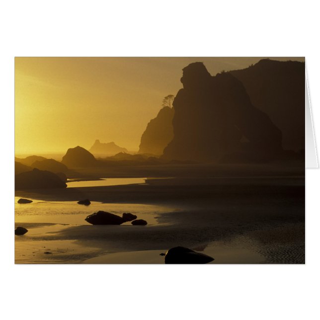 USA, Washington, Olympic Nat'l Park, Sunset, (Front Horizontal)