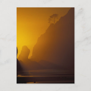 USA, Washington, Olympic Nat'l Park, Sunset, 2 Postcard