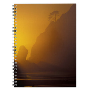 USA, Washington, Olympic Nat'l Park, Sunset, 2 Spiral Notebook