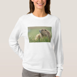 USA, Washington, Olympic NP, Olympic Marmot T-Shirt