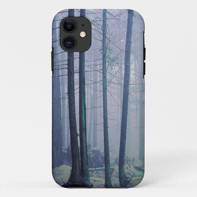 USA, Washington, Orcas Island, Moran State Park Case-Mate iPhone Case (Back)