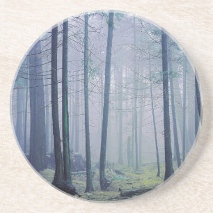 USA, Washington, Orcas Island, Moran State Park Coaster