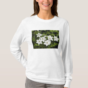 USA, Washington, Pacific Dogwood, Cornus T-Shirt