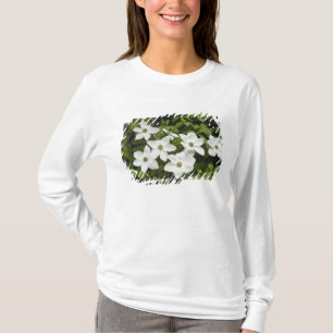 USA, Washington, Pacific Dogwood, Cornus T-Shirt