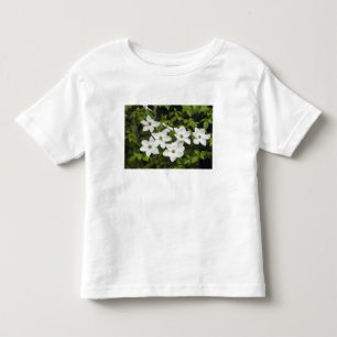 USA, Washington, Pacific Dogwood, Cornus Toddler T-Shirt