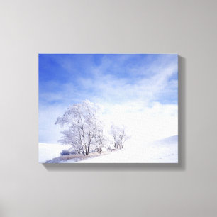 USA, Washington, Palouse Area, Frosted Black Canvas Print