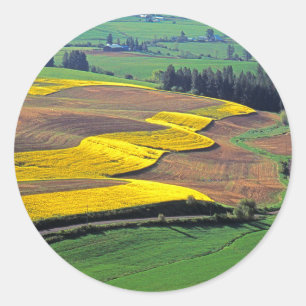 USA, Washington, Palouse, Whitman County 2 Classic Round Sticker