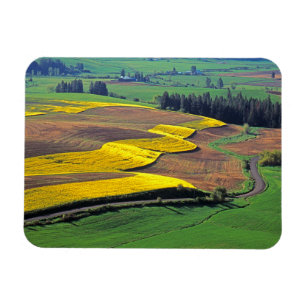 USA, Washington, Palouse, Whitman County 2 Magnet