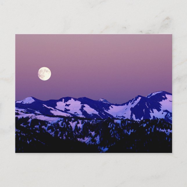 USA, Washington, Port Angeles, Olympic National Postcard (Front)