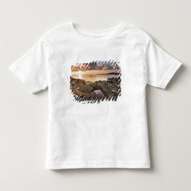 USA, Washington, San Juan Islands.  A dramatic 2 Toddler T-Shirt (Front)