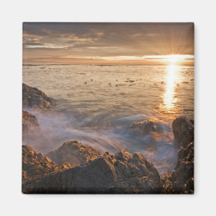 USA, Washington, San Juan Islands. A dramatic Magnet
