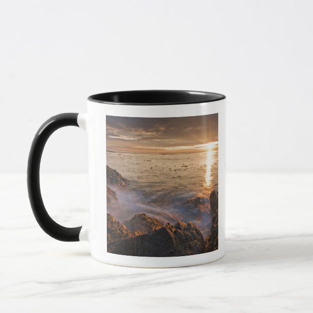 USA, Washington, San Juan Islands.  A dramatic Mug (Left)