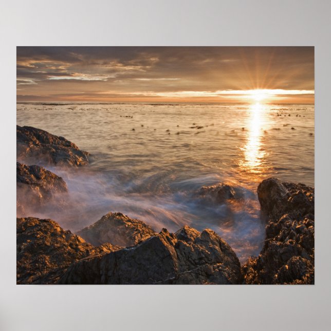 USA, Washington, San Juan Islands.  A dramatic Poster (Front)