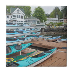 USA, Washington, San Juan Islands Tile