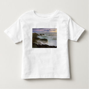 USA, Washington, San Juan Islands.  Waves crash Toddler T-Shirt