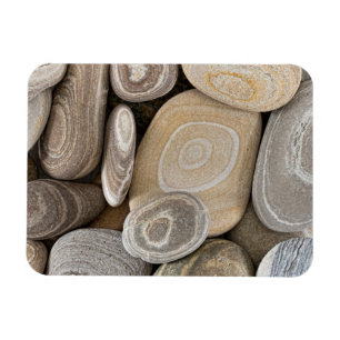 USA, Washington, Seabeck. Close-Up Of Beach 2 Magnet