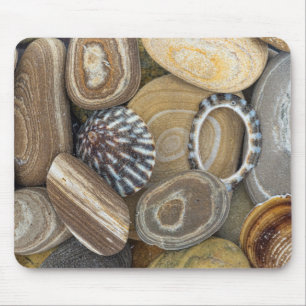 USA, Washington, Seabeck. Close-Up Of Beach Mouse Pad