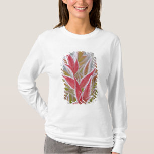 USA, Washington, Seabeck. Close-up of frost on T-Shirt