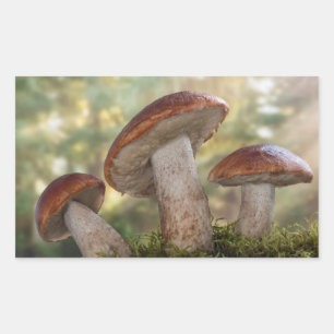 USA, Washington, Seabeck. Leccinum Insigne Rectangular Sticker