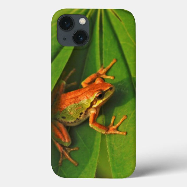 USA, Washington, Seattle, Discovery Park 2 Case-Mate iPhone Case (Back)
