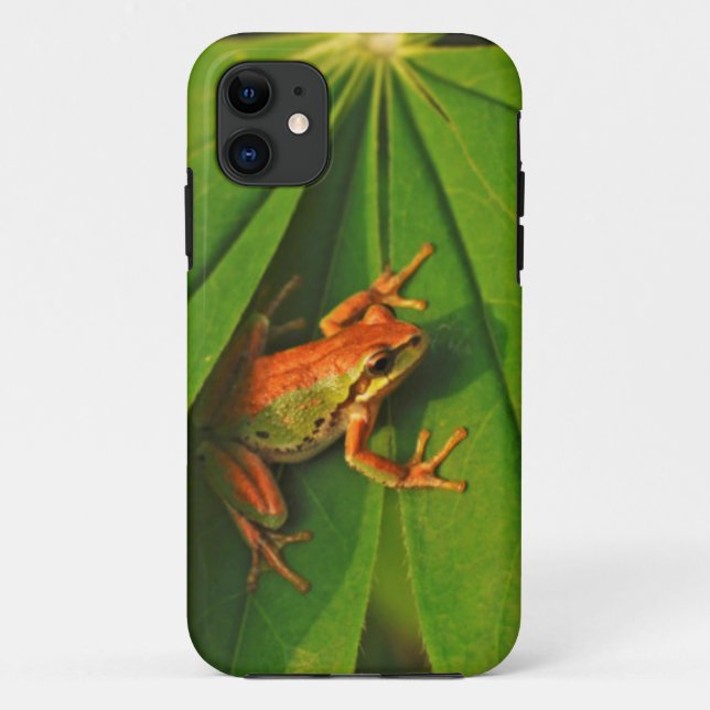 USA, Washington, Seattle, Discovery Park 2 Case-Mate iPhone Case (Back)