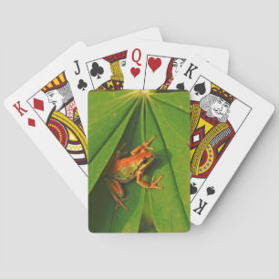 USA, Washington, Seattle, Discovery Park 2 Playing Cards