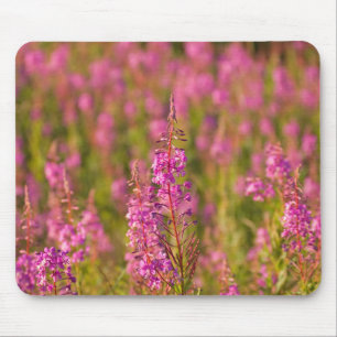USA, Washington, Seattle, Discovery Park 3 Mouse Pad