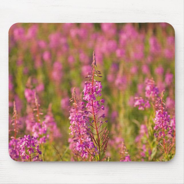 USA, Washington, Seattle, Discovery Park 3 Mouse Pad (Front)