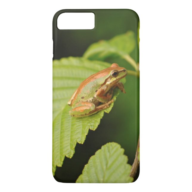 USA, Washington, Seattle, Discovery Park Case-Mate iPhone Case (Back)