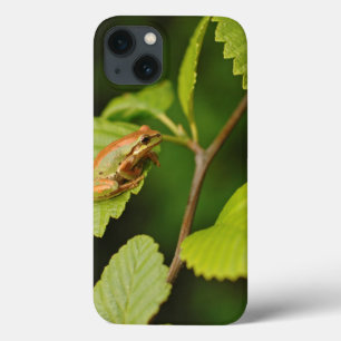 USA, Washington, Seattle, Discovery Park iPhone 13 Case