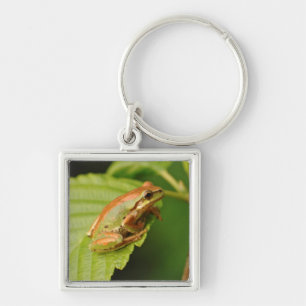USA, Washington, Seattle, Discovery Park Key Ring