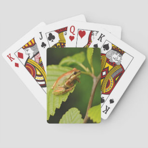 USA, Washington, Seattle, Discovery Park Playing Cards