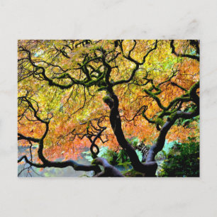 USA, Washington, Seattle, Kubota Garden. Postcard