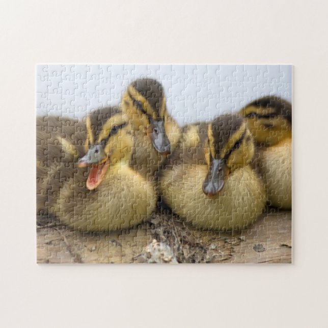 USA, Washington, Seattle, Lake Washington Jigsaw Puzzle (Horizontal)