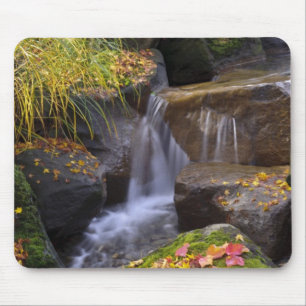 USA, Washington, Seattle Mouse Pad