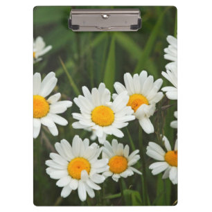 USA, Washington, Seattle, Puget Sound 3 Clipboard