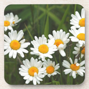 USA, Washington, Seattle, Puget Sound 3 Coaster