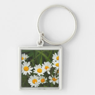 USA, Washington, Seattle, Puget Sound 3 Key Ring